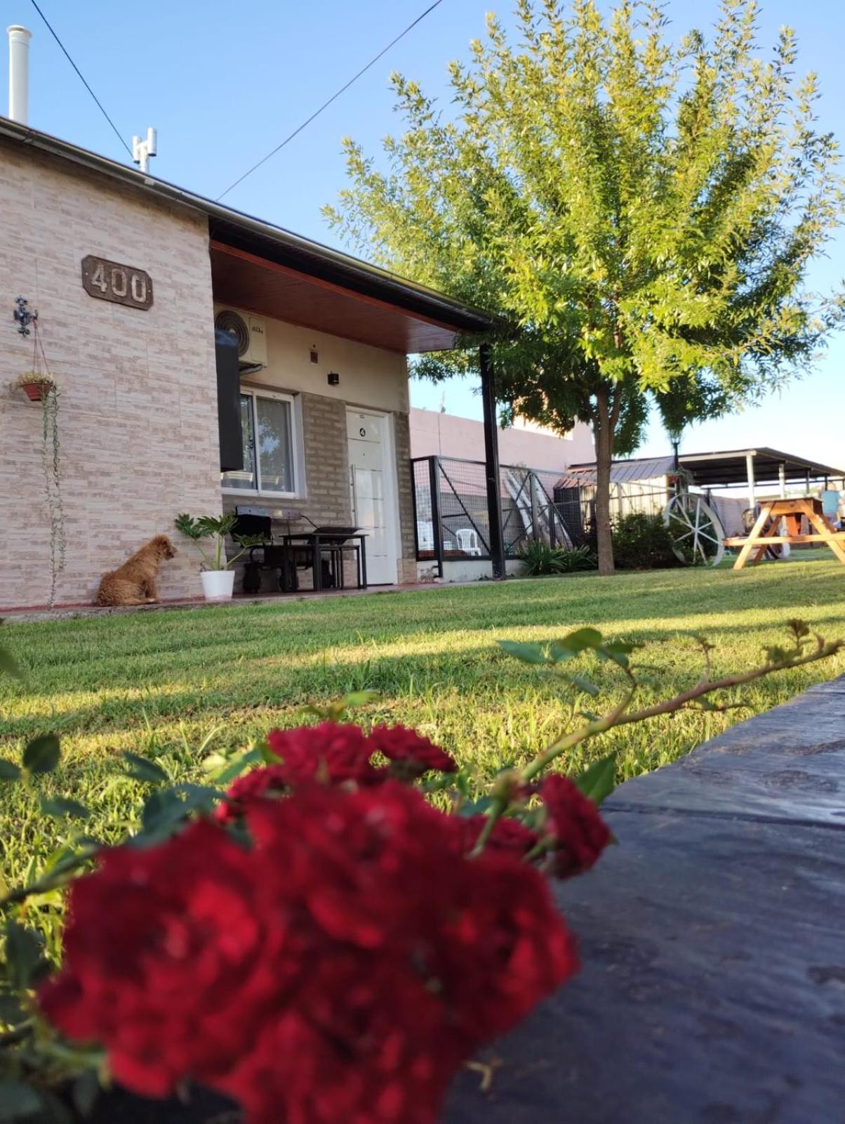 Bajos Medanales Apartamento Victorica